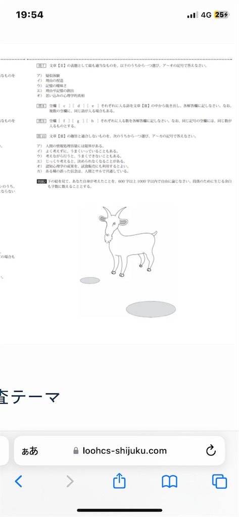f:id:daiki_futagami:20241022145906j:image