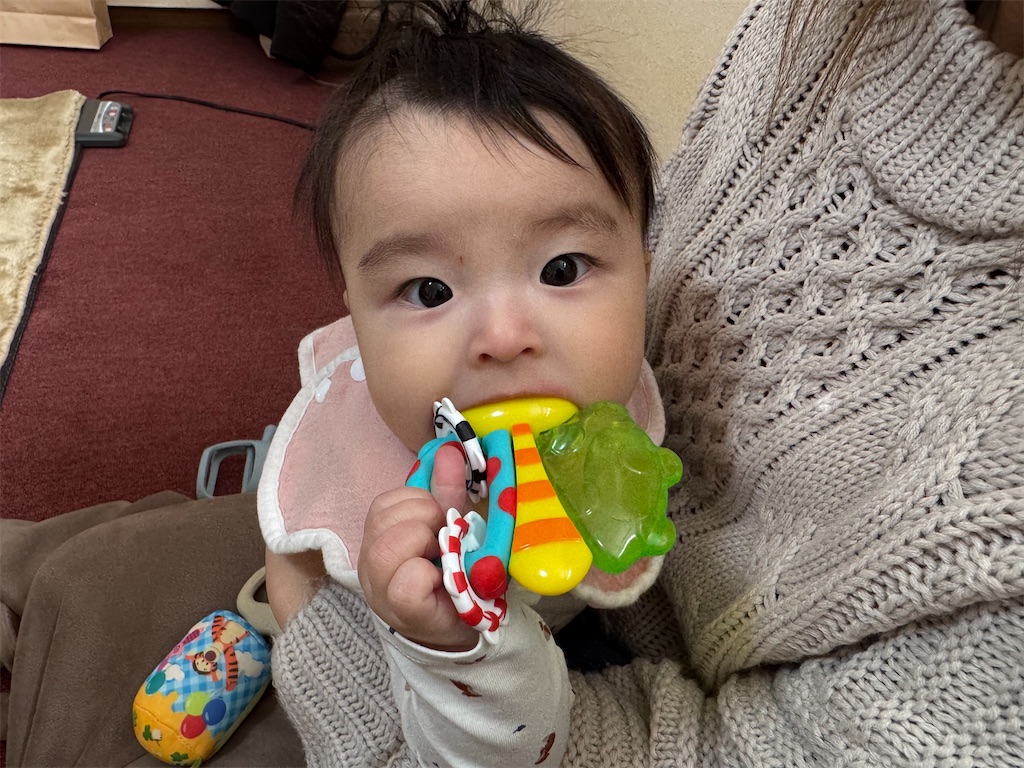 f:id:daiki_futagami:20250104101757j:image
