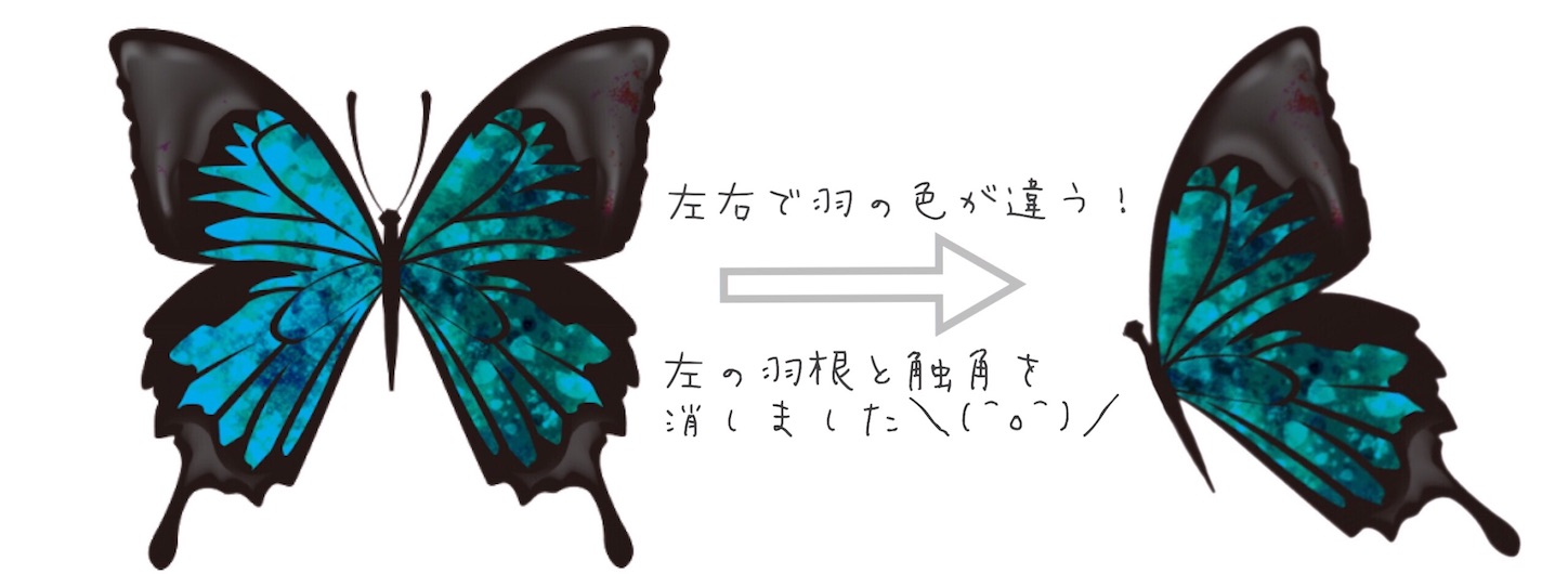 f:id:daiki_yuyu:20160911155811j:image
