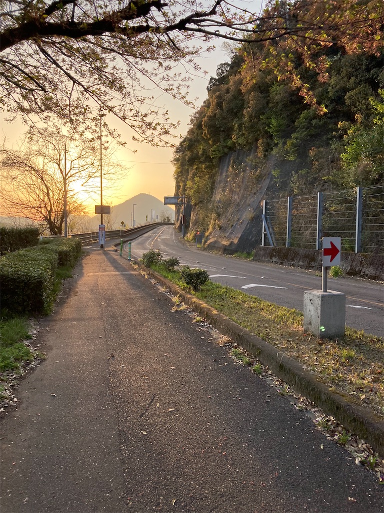 f:id:daikichi1019:20220413170816j:image f:id:daikichi1019:20220413170816j:image