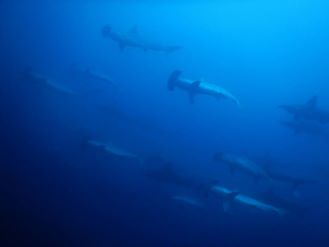 f:id:daikimatcha:20160826123602j:plain