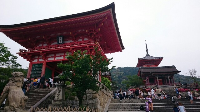 f:id:daikimatcha:20160828114211j:image