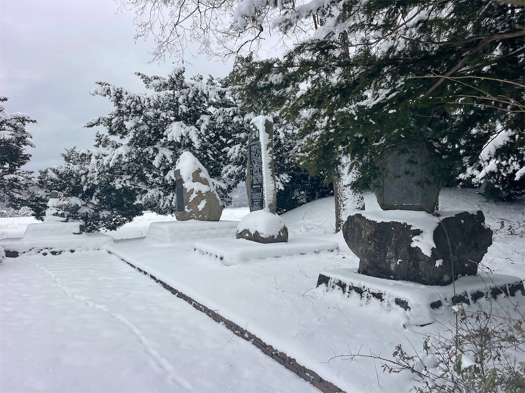 f:id:daikiti_taka:20251122140222j:image
