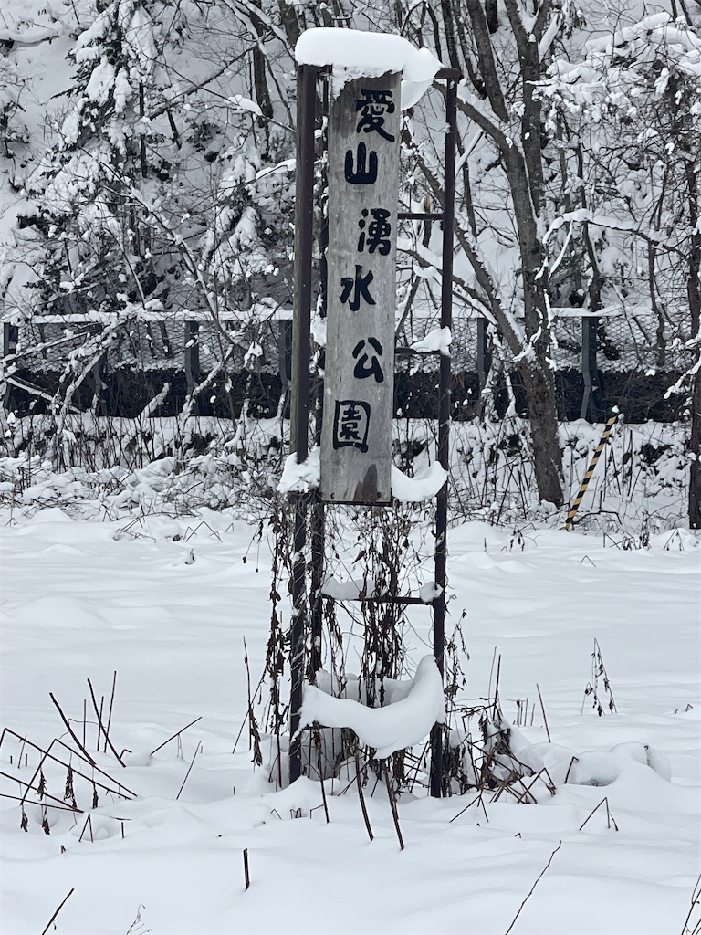 f:id:daikiti_taka:20251122140326j:image