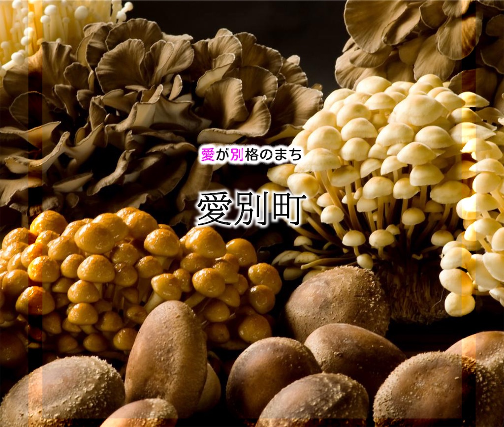 f:id:daikiti_taka:20251124130522j:image
