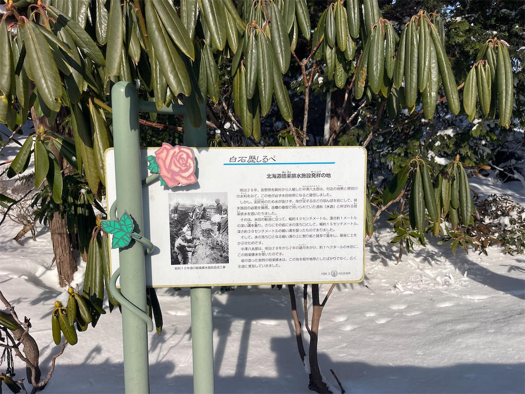 f:id:daikiti_taka:20260116163609j:image f:id:daikiti_taka:20260116163609j:image