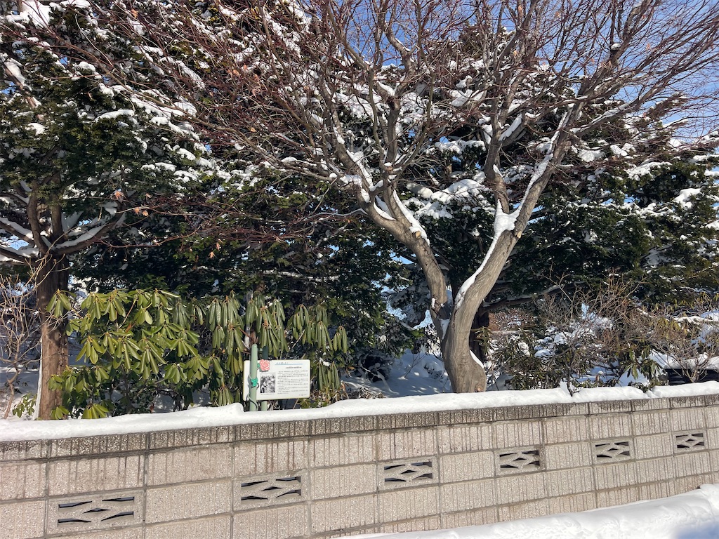 f:id:daikiti_taka:20260116163638j:image f:id:daikiti_taka:20260116163638j:image