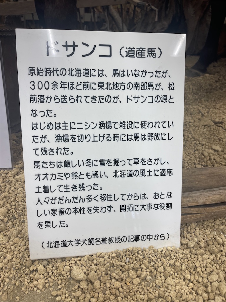 f:id:daikiti_taka:20260116164023j:image f:id:daikiti_taka:20260116164023j:image
