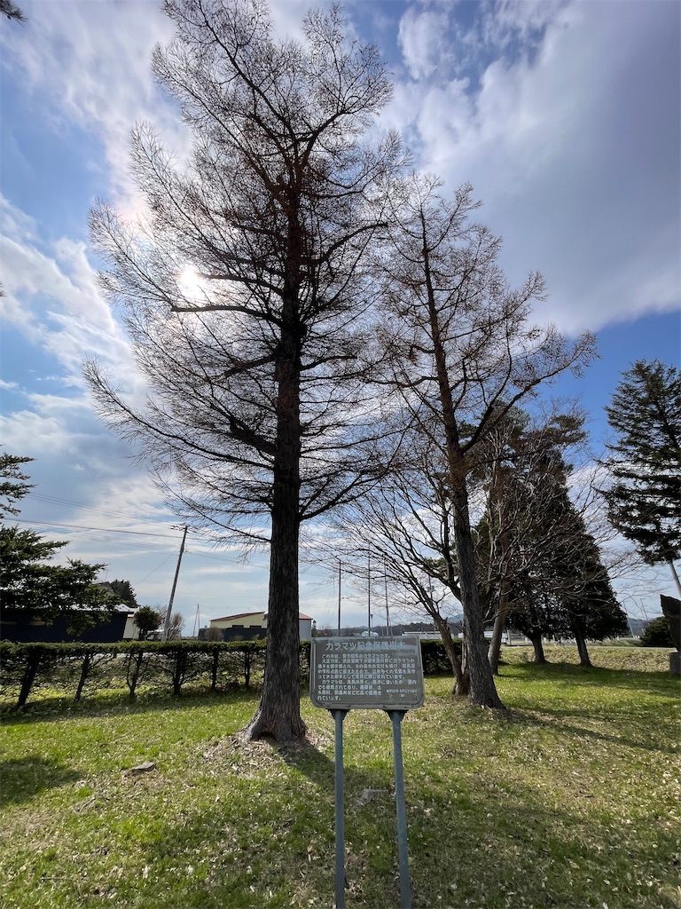 f:id:daikiti_taka:20260420193205j:image