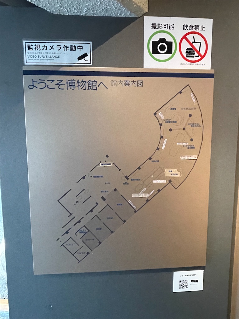 f:id:daikiti_taka:20260501172438j:image