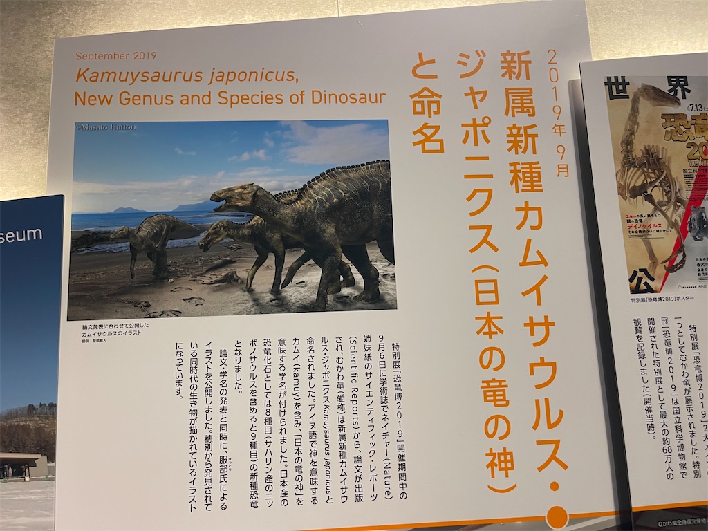 f:id:daikiti_taka:20260501172534j:image