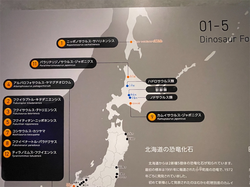 f:id:daikiti_taka:20260501172644j:image
