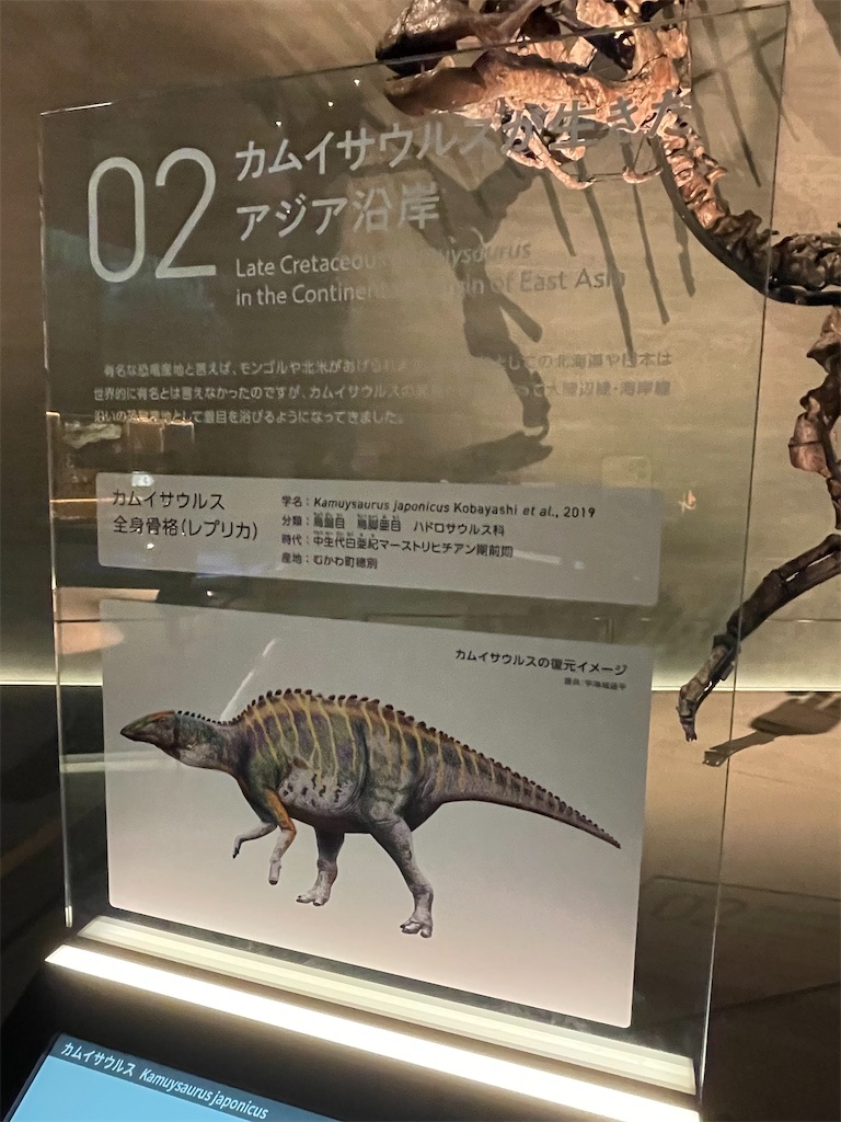 f:id:daikiti_taka:20260501172651j:image