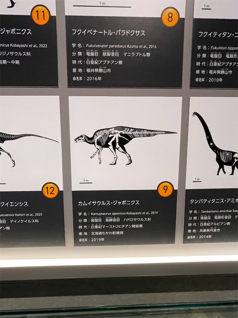 f:id:daikiti_taka:20260501172830j:image
