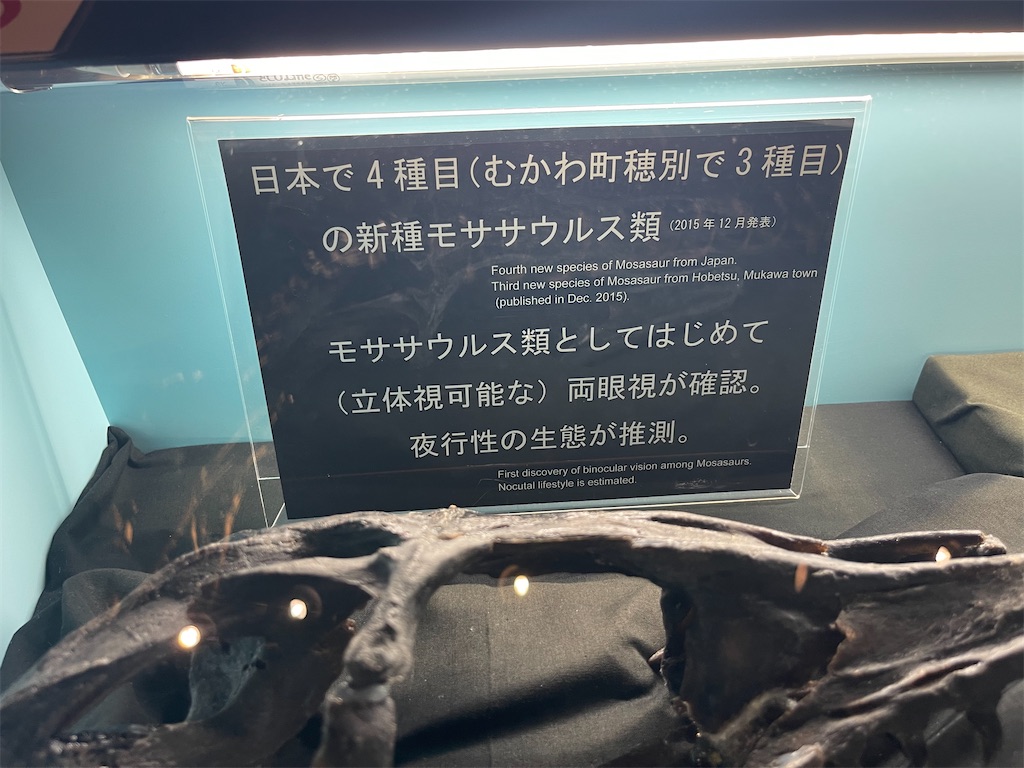 f:id:daikiti_taka:20260501173024j:image