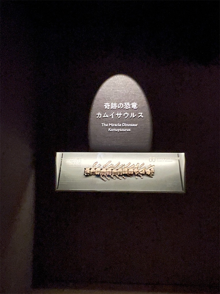 f:id:daikiti_taka:20260501173512j:image