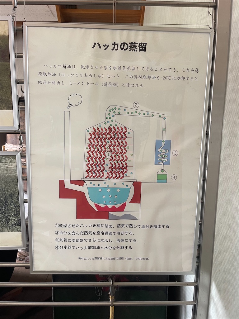 f:id:daikiti_taka:20260720083009j:image