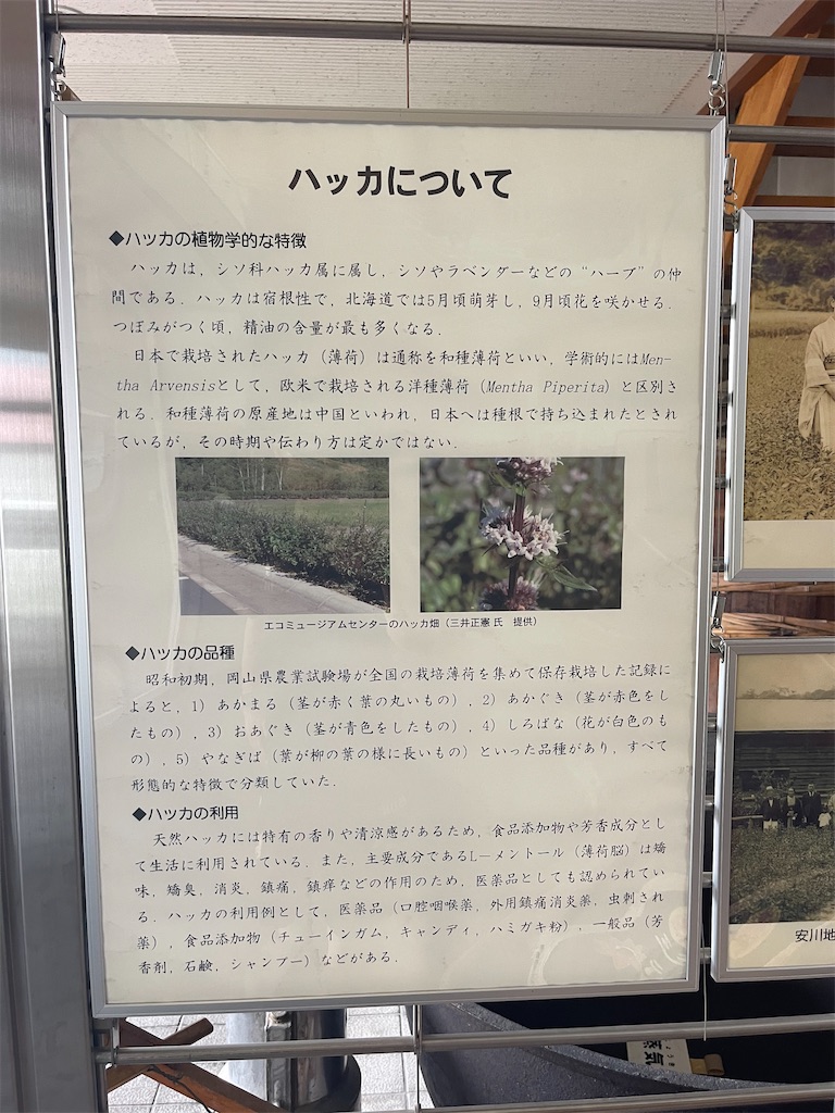 f:id:daikiti_taka:20260720083114j:image
