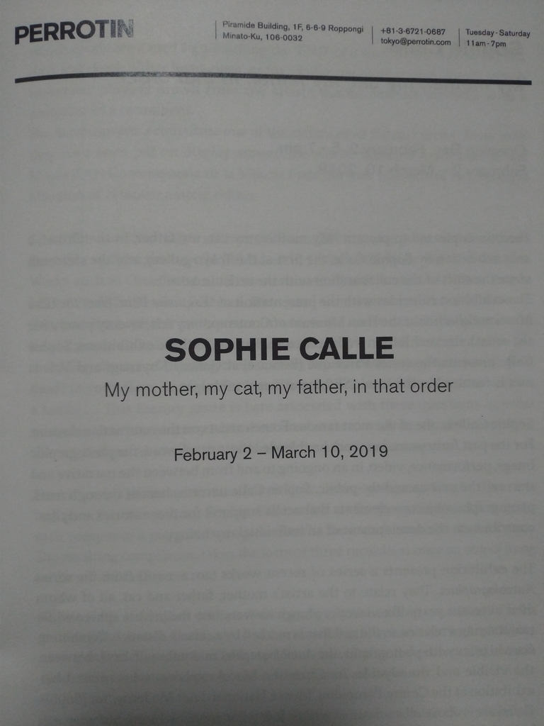 f:id:daikoukai000:20190305210140j:plain