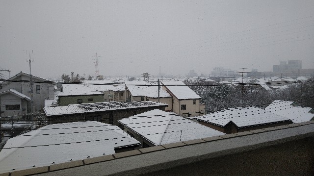 f:id:daikous:20190209111524j:plain f:id:daikous:20190209111524j:plain