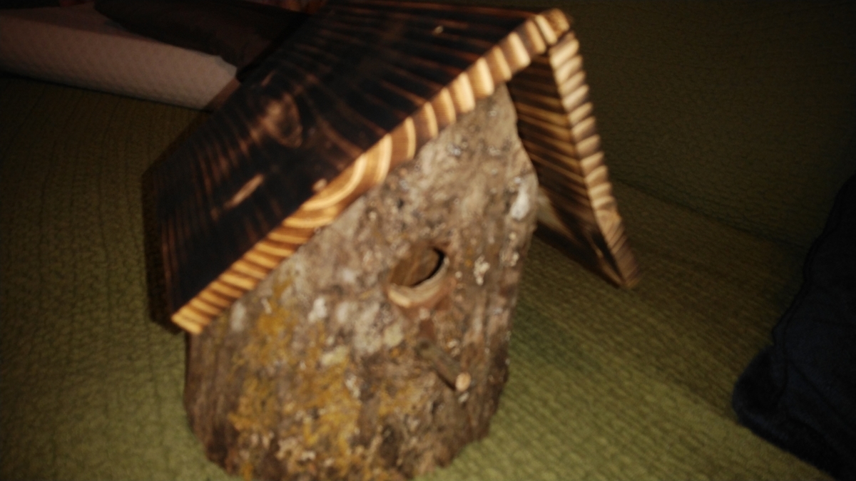 f:id:daikous:20190226082056j:plain
