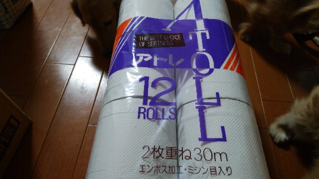 f:id:daikous:20190327122402j:plain f:id:daikous:20190327122402j:plain