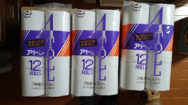 f:id:daikous:20190327122425j:plain f:id:daikous:20190327122425j:plain