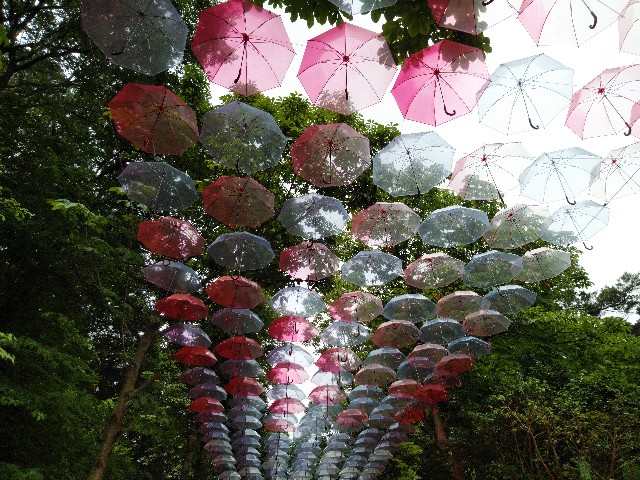 f:id:daikous:20190721113607j:plain f:id:daikous:20190721113607j:plain