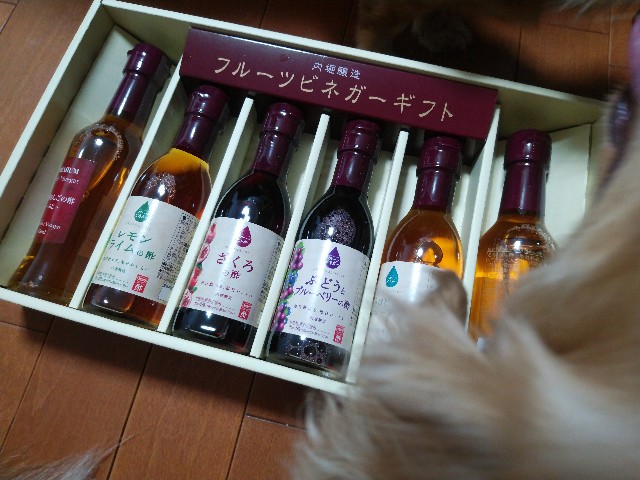 f:id:daikous:20190802112713j:plain f:id:daikous:20190802112713j:plain