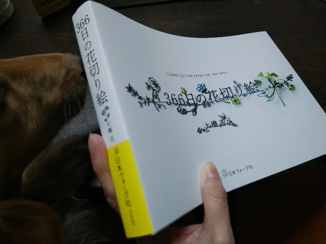 f:id:daikous:20191129105503j:plain f:id:daikous:20191129105503j:plain