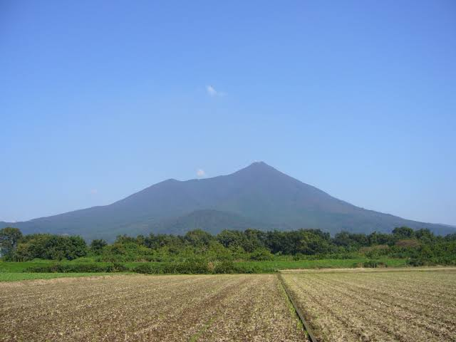 f:id:daikous:20200203140555p:plain f:id:daikous:20200203140555p:plain
