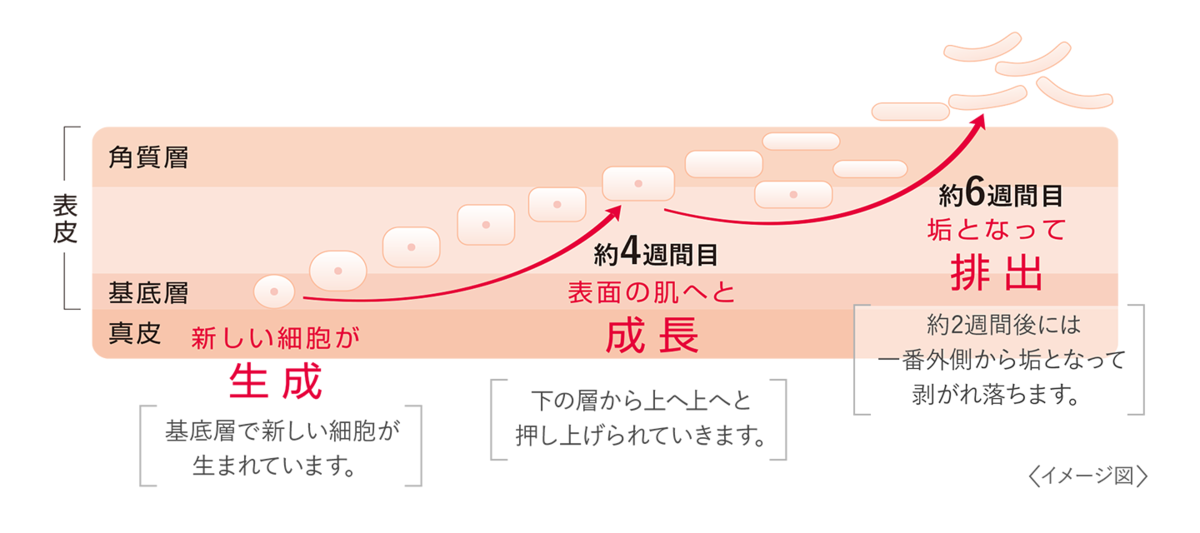 f:id:daikous:20200515182235p:plain