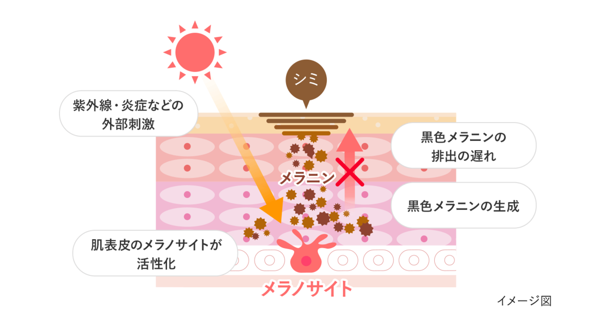 f:id:daikous:20200515183301p:plain