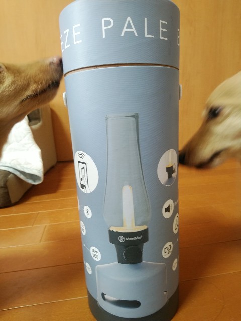 f:id:daikous:20200823093143j:plain f:id:daikous:20200823093143j:plain