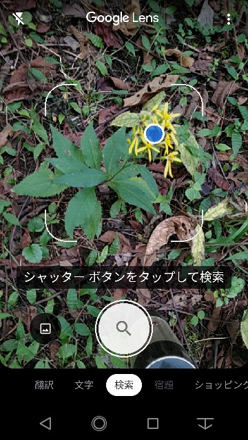f:id:daikous:20200929150453j:plain f:id:daikous:20200929150453j:plain