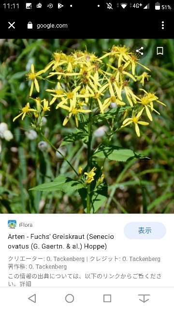 f:id:daikous:20200929150529j:plain