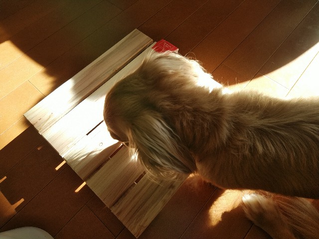 f:id:daikous:20201130132018j:plain