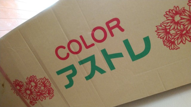 f:id:daikous:20210108124137j:plain