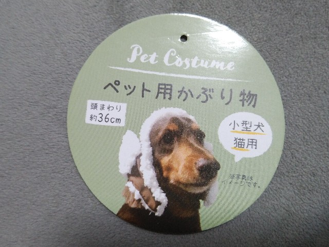 f:id:daikous:20210413165427j:plain