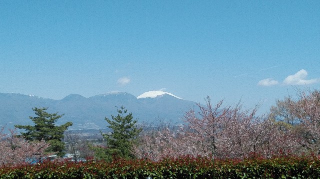 f:id:daikous:20210419142038j:plain