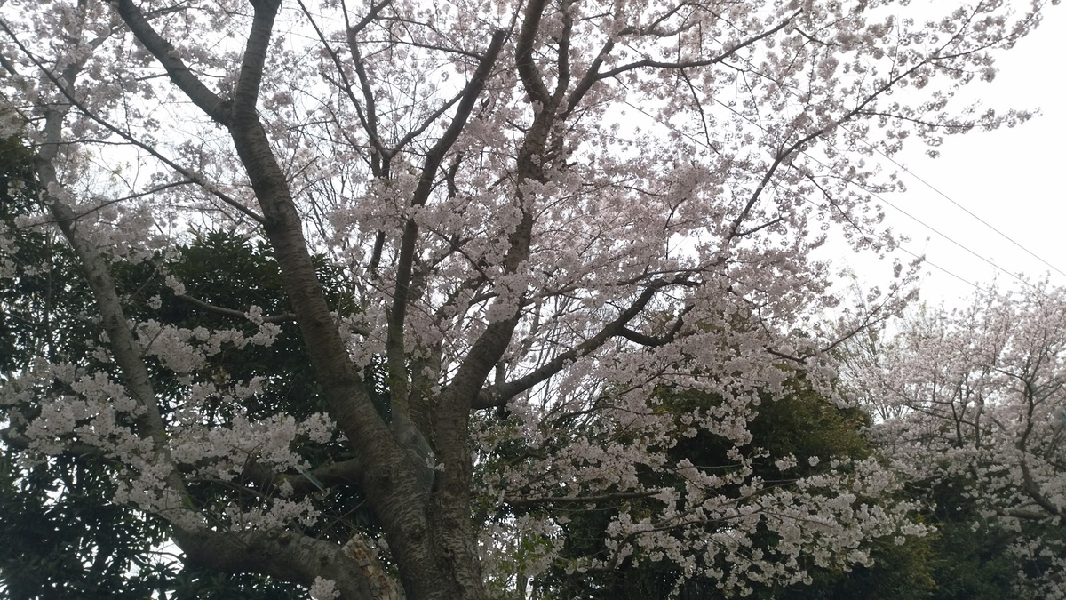 f:id:daikous:20220410115418p:plain