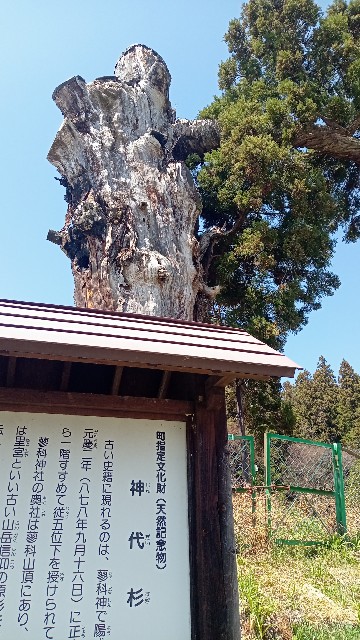f:id:daikous:20220417124906j:plain