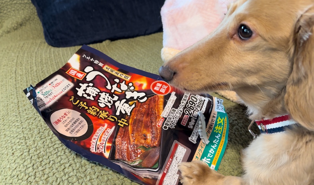 f:id:daikous:20240708181241j:image