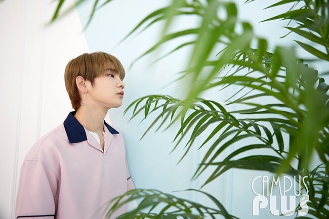 f:id:daily_kenta:20180703105941j:plain
