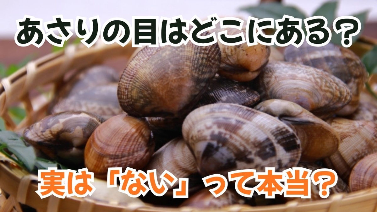 あさりの目はどこにある?実は「ない」って本当?体の仕組みと呼吸法を徹底解説 - デイリーライフノート