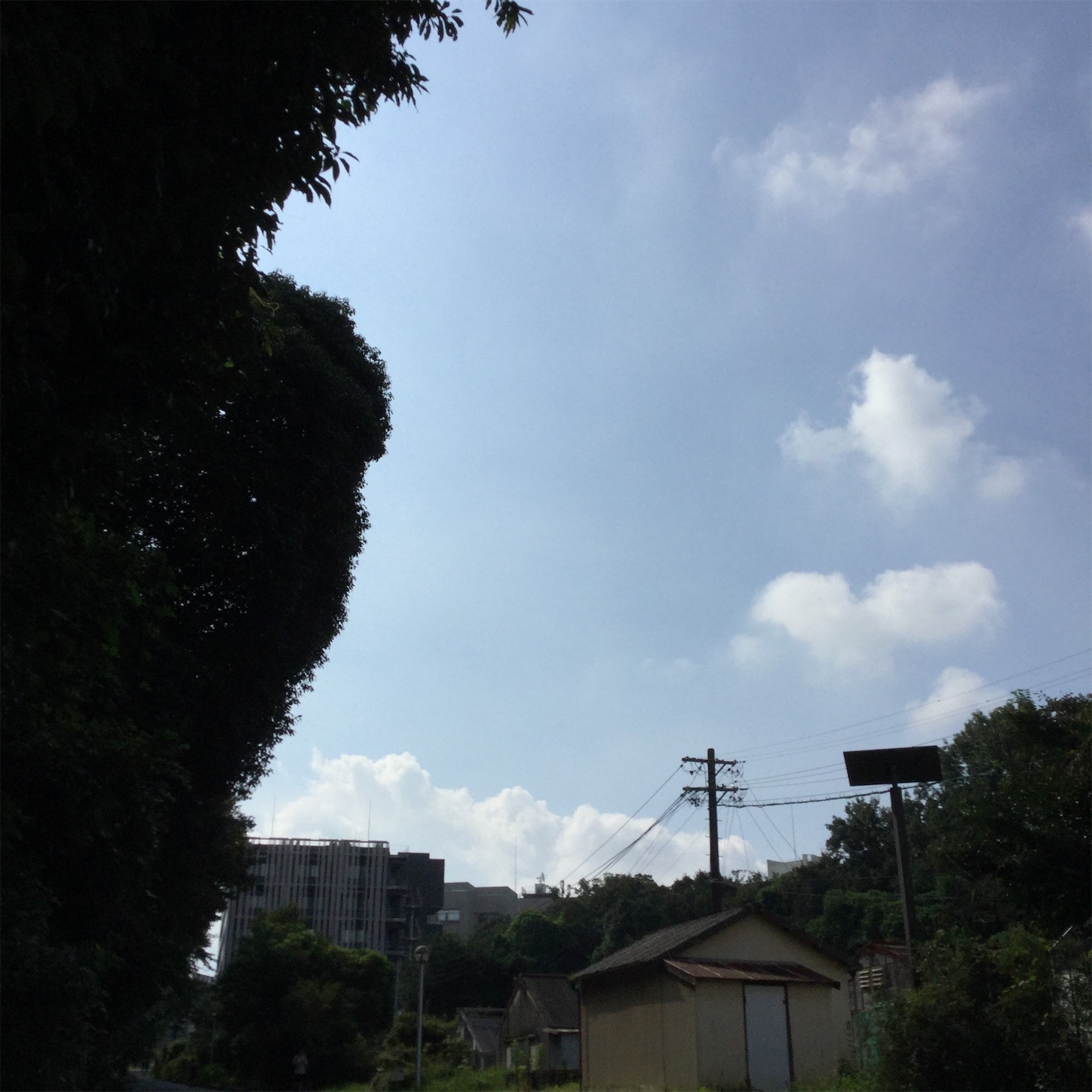 f:id:dailymusiclog:20190903111835j:image