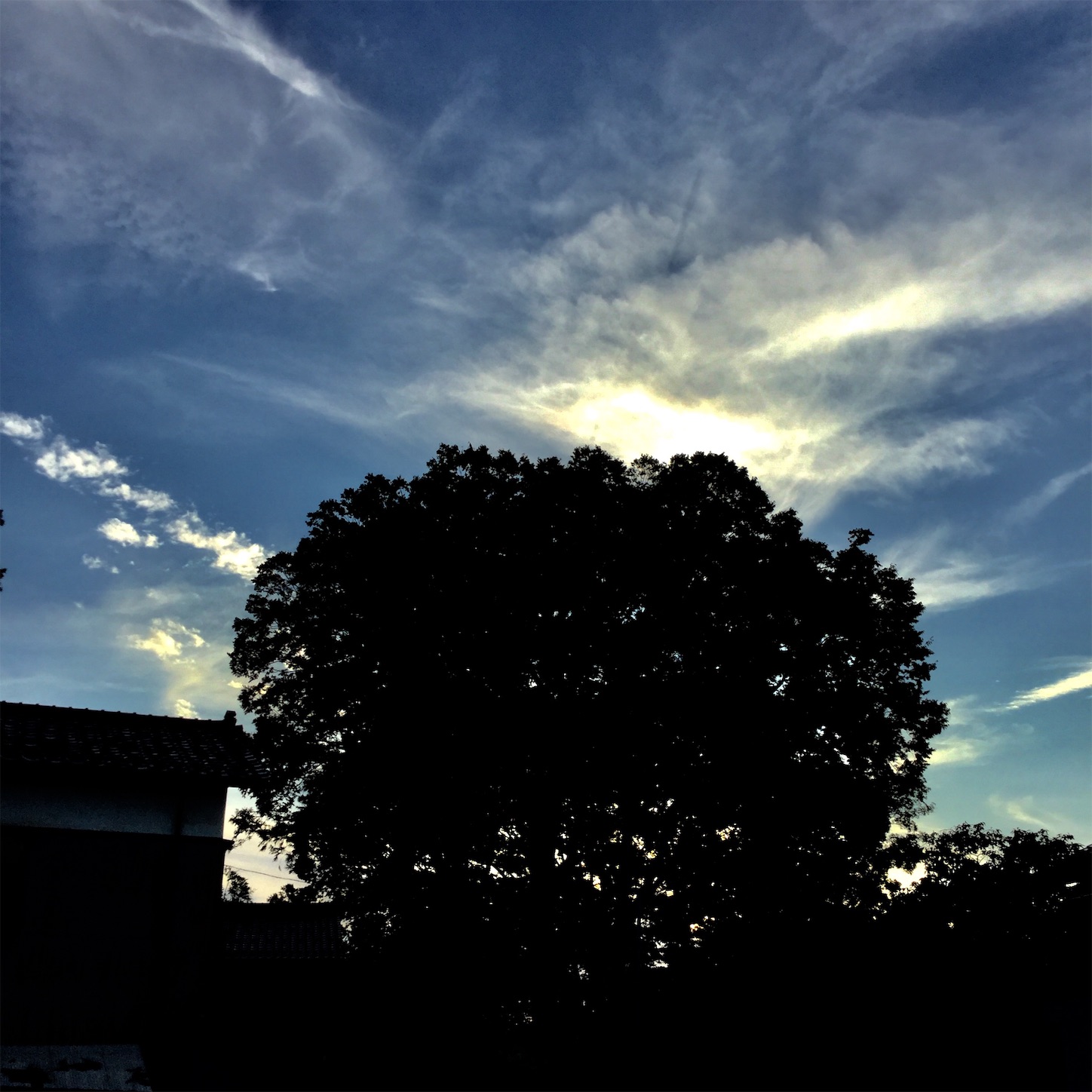 f:id:dailymusiclog:20190905175046j:image