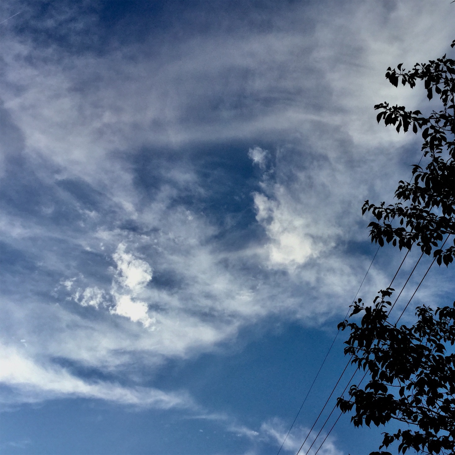 f:id:dailymusiclog:20190905175051j:image
