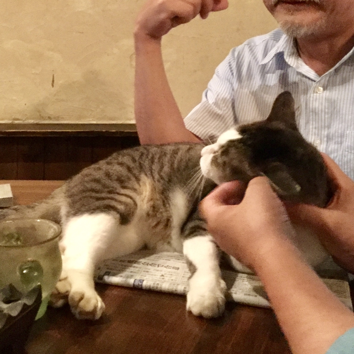 f:id:dailymusiclog:20190908105715j:plain