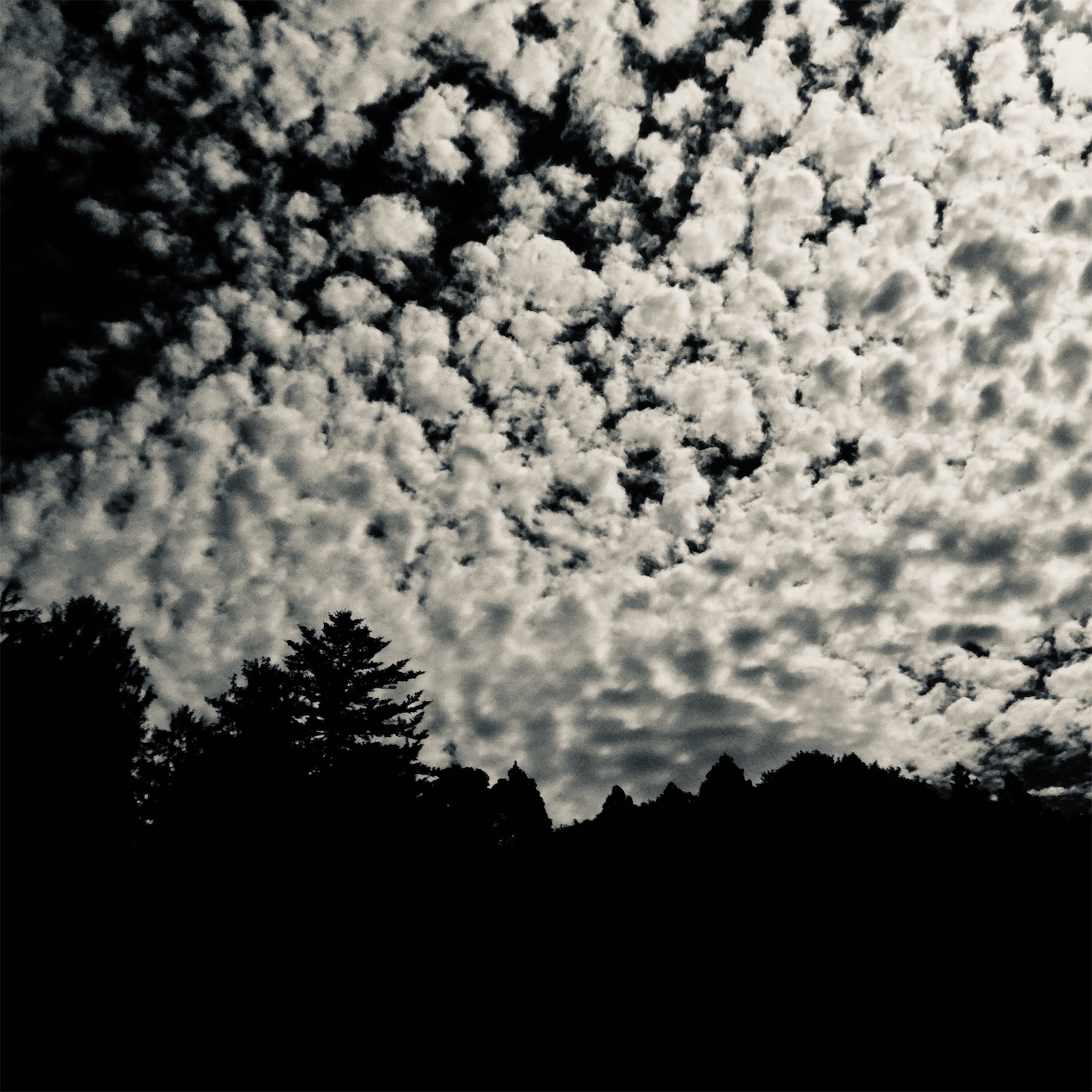 f:id:dailymusiclog:20190908110909j:image